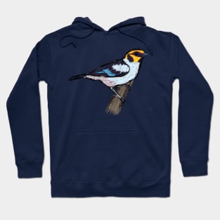 Artwork of a Flame-Faced Tanager I Hoodie